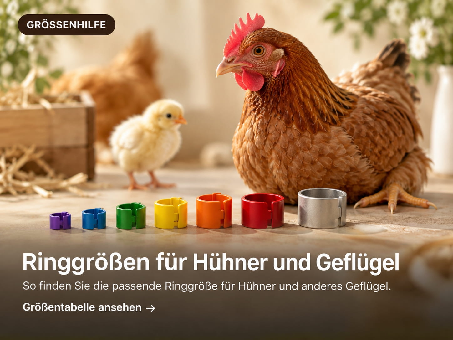 Ringgrößen für Hühner und Geflügel – Ratgeber zur Auswahl der passenden Geflügelringgröße