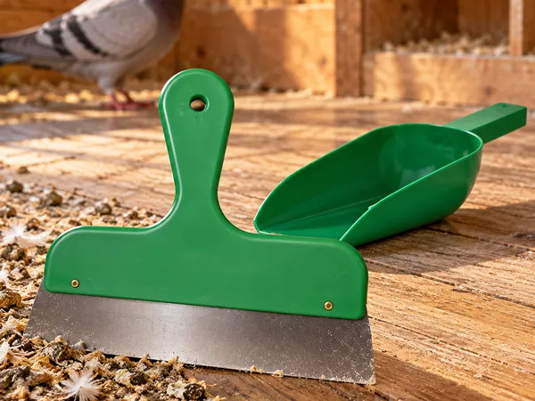 Grüner Schaber und Schaufel auf dem Boden eines Taubenschlags