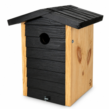 Nistkasten Alura Jet 32 mm mit schwarzer Front und Naturholz von CJ Wildlife