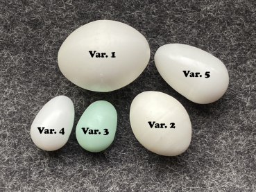 Preview: Nesteier - Vogeleier für Kanarien, Wellensittich, Exoten je 5 Stück