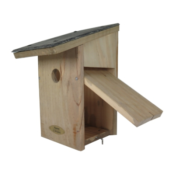 Preview: Beobachtungsnistkasten San Francisco Schieferdach Ø 34 mm