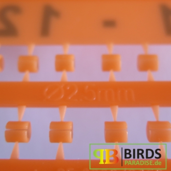 Preview: E-Z Teilringe - Ø 2,5 mm - für Exoten - 12 Ringe - nummeriert 1-12