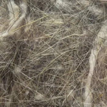 Sisal Fibre - Animal Hair - Pelo Animale - 500g