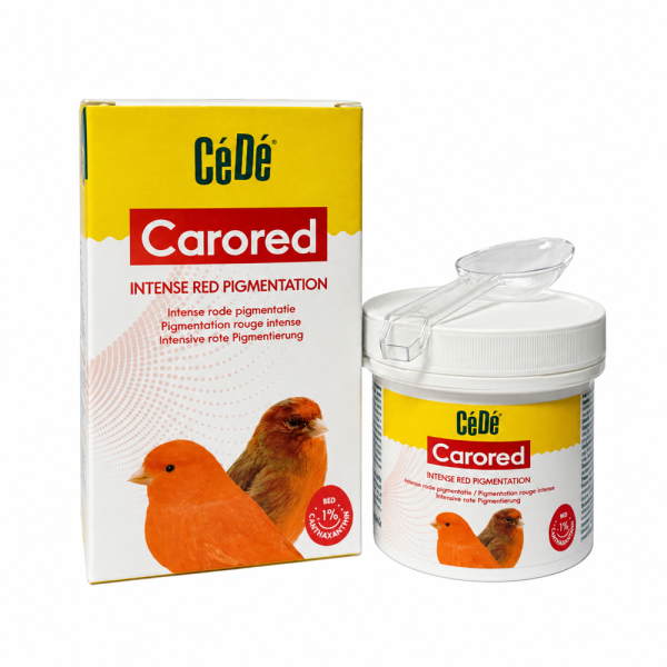 CéDé Carored Faltschachtel und Dose mit Messlöffel, Aufdruck intensive rote Pigmentierung und 1 % Canthaxanthin, zwei rote Kanarien auf der Verpackung